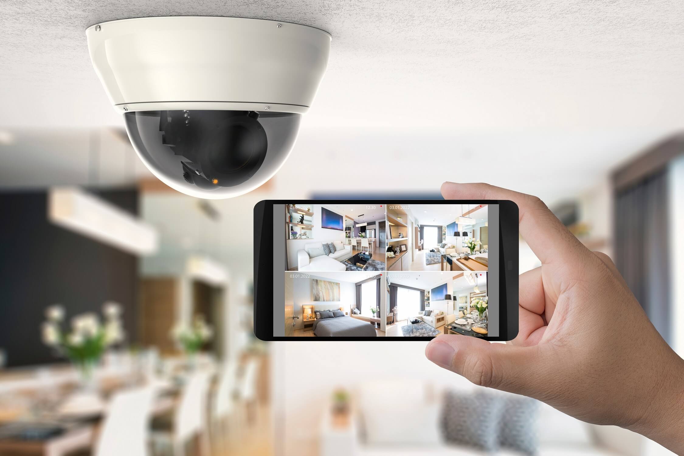 Security Camera & Alert Devices